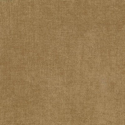 Kasmir VESTIGE          LATTE           