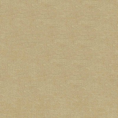 Kasmir VESTIGE          PUMICE          