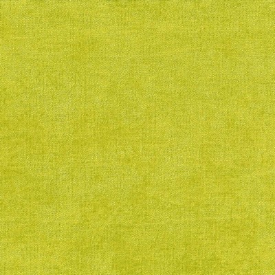 Kasmir VESTIGE          ZEST            