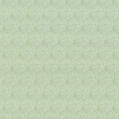 Kasmir WOODHAVEN        VINE            