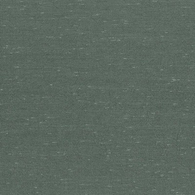 Kasmir WRINKLE IN TIME  ASPEN           