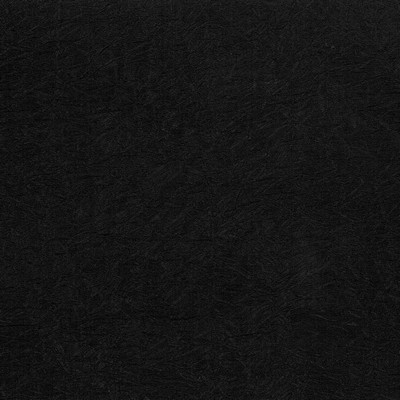 Kasmir WRINKLE IN TIME  BLACK           