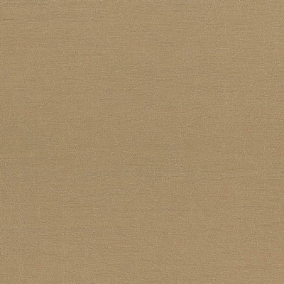 Kasmir WRINKLE IN TIME  LATTE           