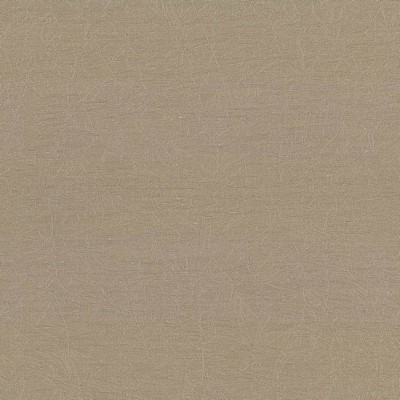 Kasmir WRINKLE IN TIME  MALT            