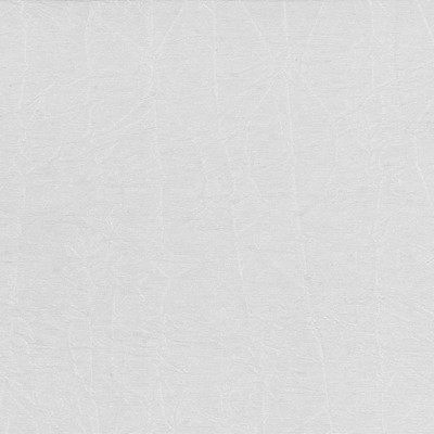 Kasmir WRINKLE IN TIME  PLATINUM        