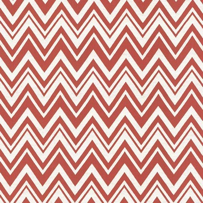 Kasmir ZIGGY            GRENADINE       