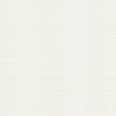 Kasmir Abalone IVORY           