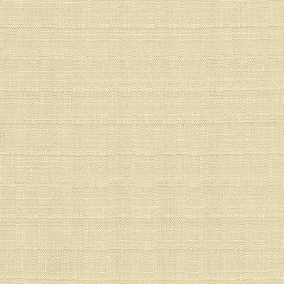 Kasmir Abalone OYSTER          