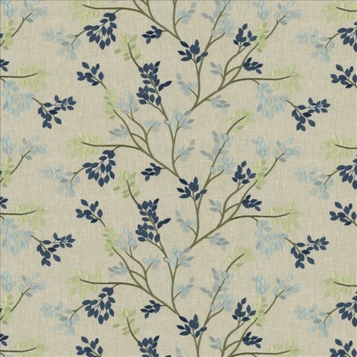 Kasmir ACCOMPLISHED     DRAGONFLY       