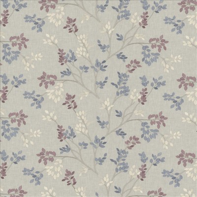 Kasmir ACCOMPLISHED     DREAM           