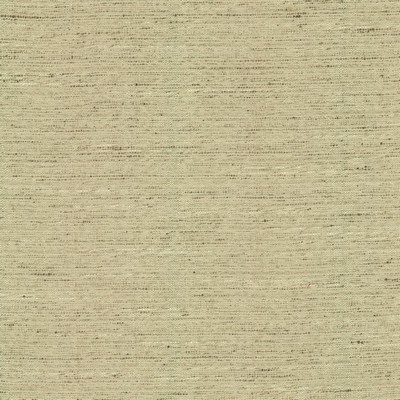 Kasmir ADJOIN           ECRU            