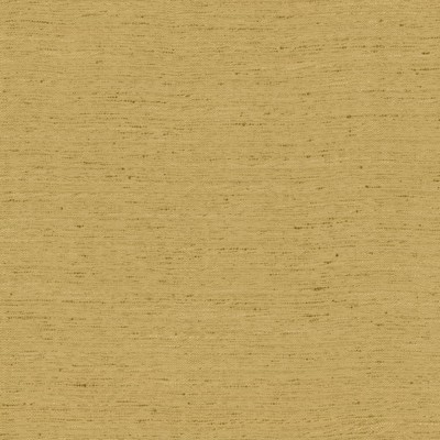 Kasmir ADJOIN           GOLD            