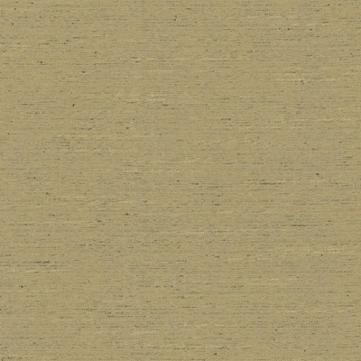 Kasmir ADJOIN           LATTE           