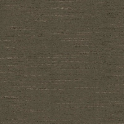 Kasmir ADJOIN           MOCHA           