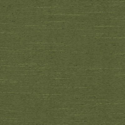 Kasmir ADJOIN           SPRUCE          