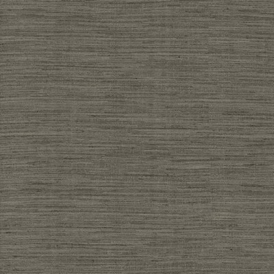 Kasmir AEGEAN           SHARK           