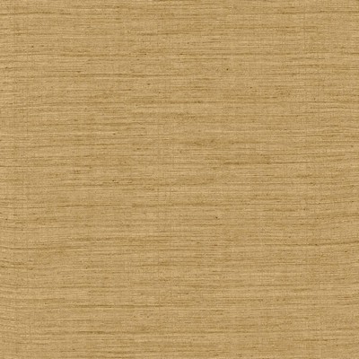 Kasmir AEGEAN           WHEAT           