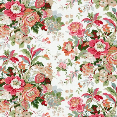 Kasmir AGORA            NECTAR          