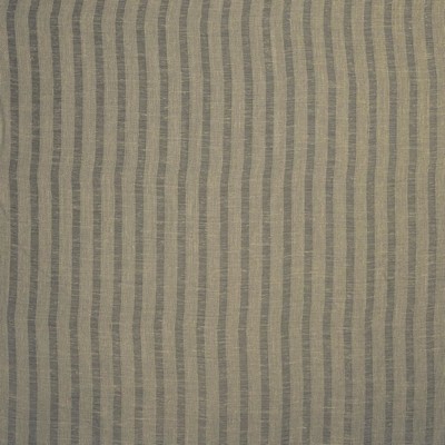 Kasmir AIDEN            LINEN           