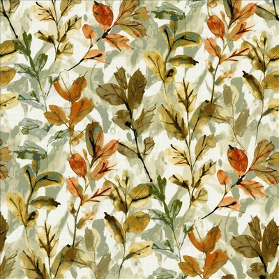 Kasmir ALISTAIR         CANYON          