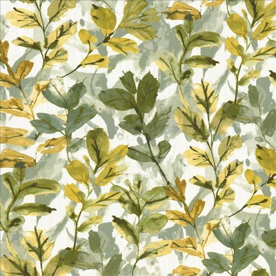 Kasmir ALISTAIR         EUCALYPTUS      