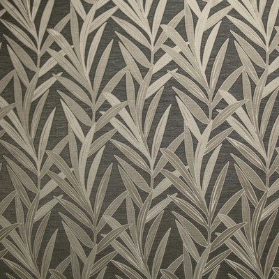 Kasmir ARCHIE           RAVEN           