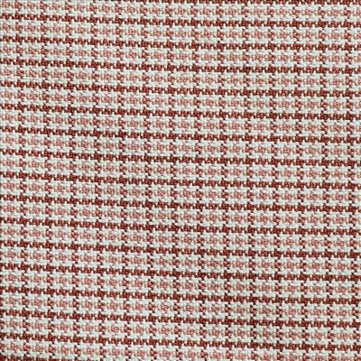 Kasmir ARTEMIS          BLOSSOM         