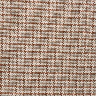 Kasmir ARTEMIS          CORAL           