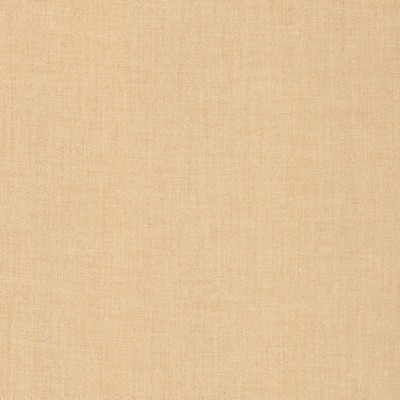 Kasmir ASHLYNN          BLUSH           