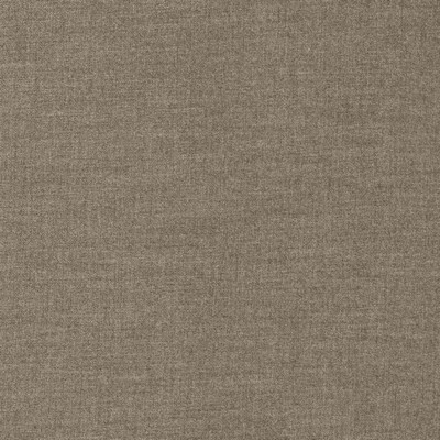 Kasmir ASHLYNN          SLATE           