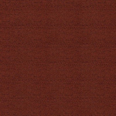 Kasmir AVERLY           PERSIMMON       