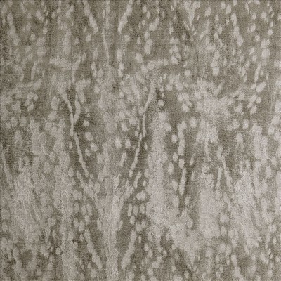 Kasmir AXIS             TRUFFLE         