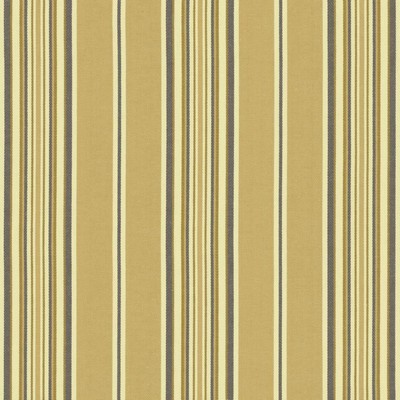 Kasmir BANDWIDTH        SAND            