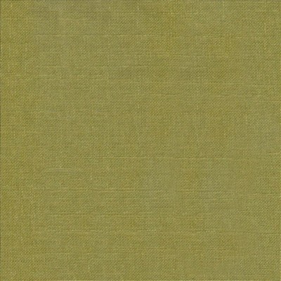 Kasmir BELCLAIRE        CACTUS          