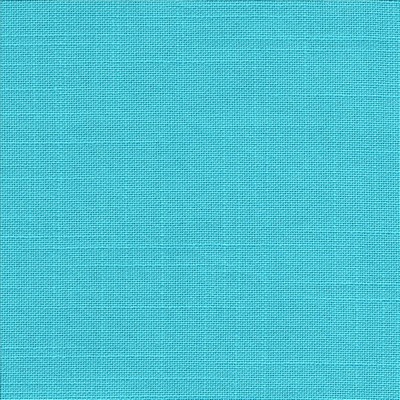 Kasmir BELCLAIRE        TURQUOISE       