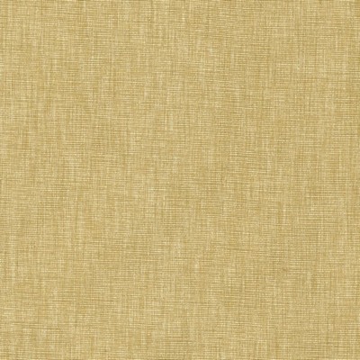 Kasmir BELTRAN          HAY             