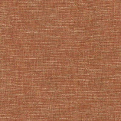 Kasmir BELTRAN          ZINNIA          