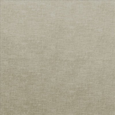 Kasmir BLUFFHAVEN       MUSHROOM        