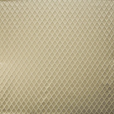 Kasmir BODICE           PAPYRUS         