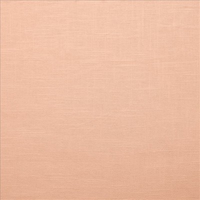 Kasmir BRANDENBURG      PETAL           