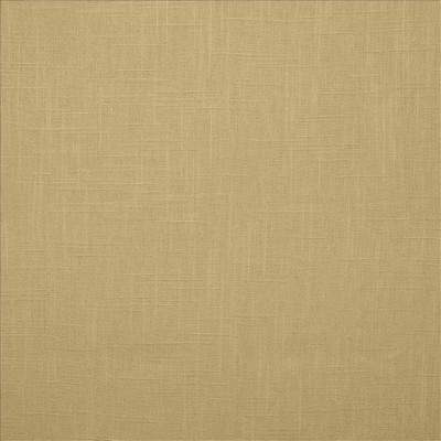 Kasmir BRANDENBURG      PUTTY           