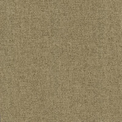 Kasmir BRANDON          MUSHROOM        