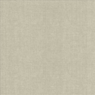 Kasmir BRIGADOON        ALOE            