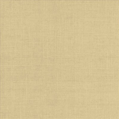 Kasmir BRIGADOON        VERBENA         