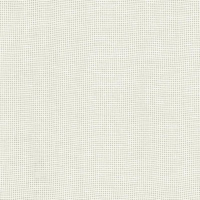 Kasmir BRUNO            WHITE           