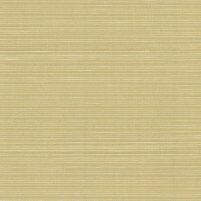 Kasmir BURKE            BEESWAX         