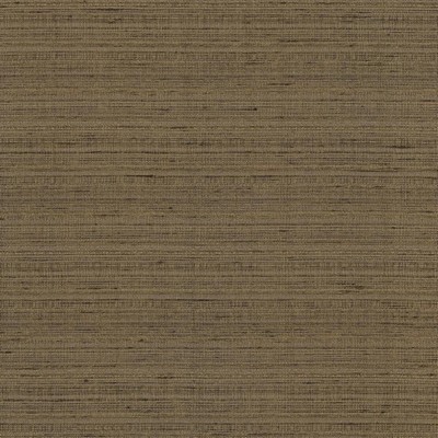 Kasmir BURKE            FOAL            