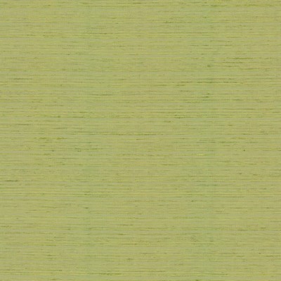 Kasmir BURKE            LEMONGRASS      