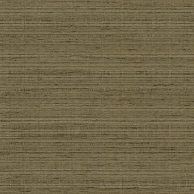 Kasmir BURKE            MINERAL         