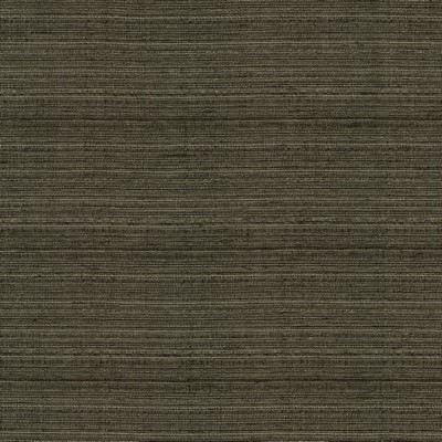 Kasmir BURKE            SABLE           